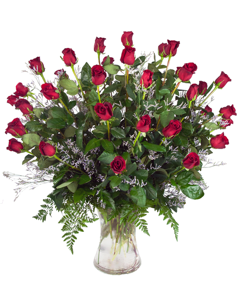 36 Red Roses