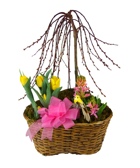 Spring Bulbs & Willow Trio