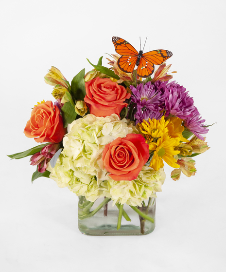 alstros, roses, hydrangeas in a glass cube with butterfly