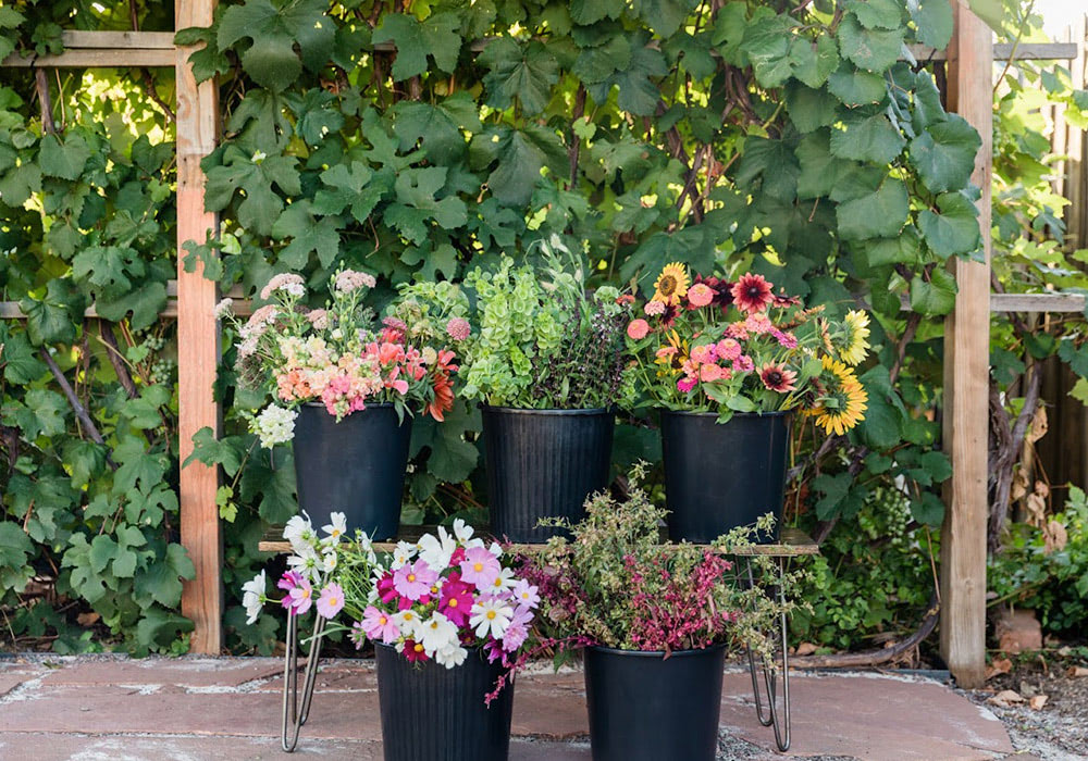 Five bins of freshly-cut flowers, ready to be added to your next Nanz & Kraft arrangement