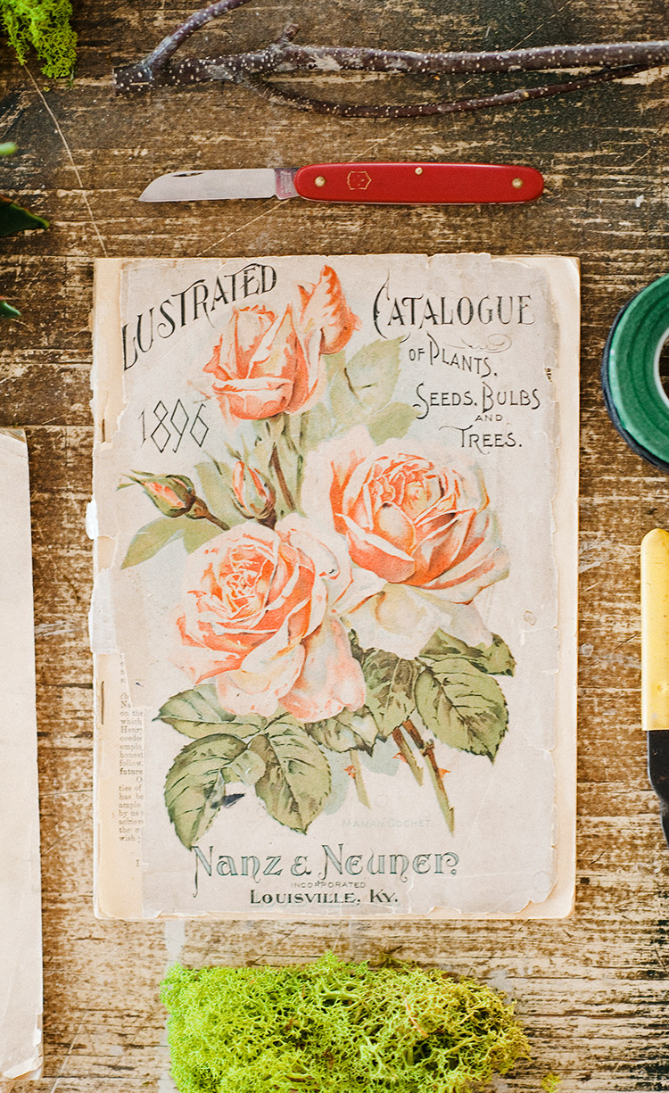 A vintage catalog from Nanz and Neuner Florist, printed in the year 1896